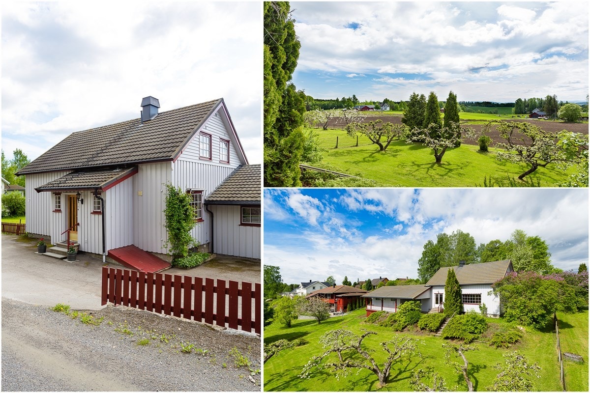 Velkommen til visning! Galleribilde