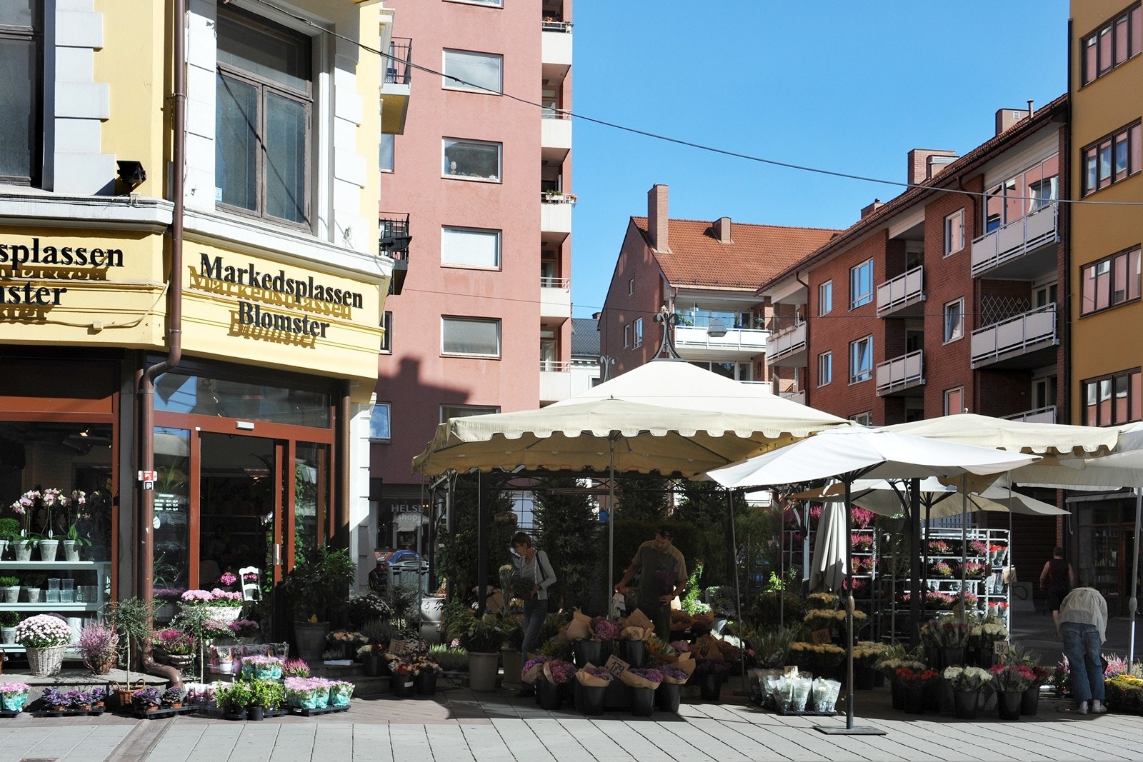 Nærområde - Bogstadveien Galleribilde