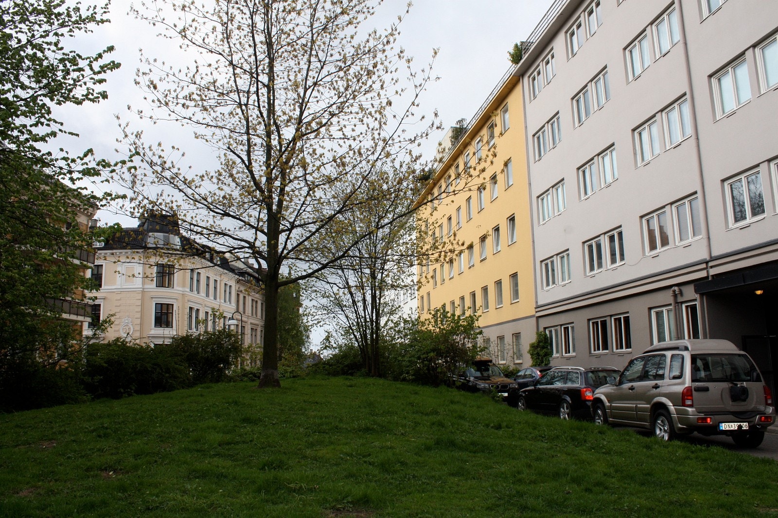 Grønn lunge rett utenfor Galleribilde