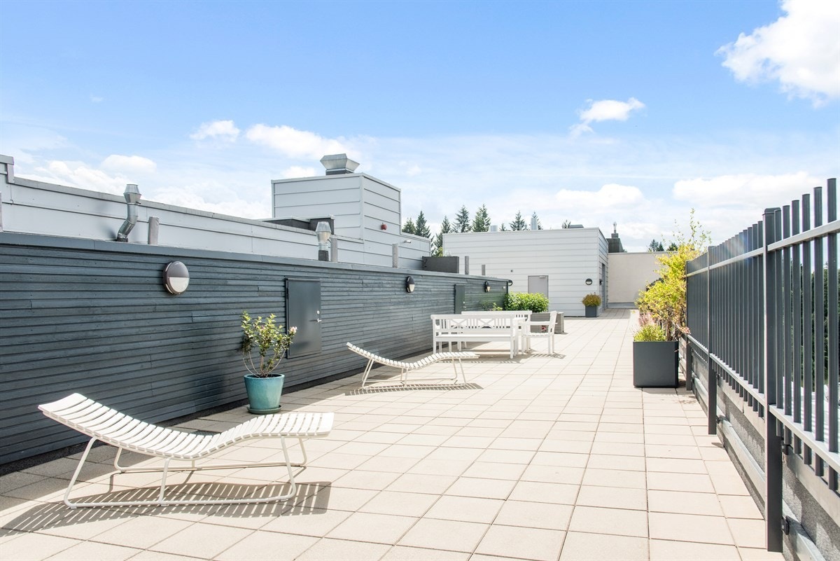 Stor felles takterrasse med utsikt og sol hele dagen. Galleribilde