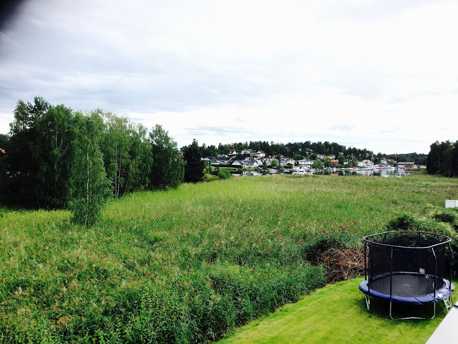 Stille rolige omgivelser i vannkanten Galleribilde
