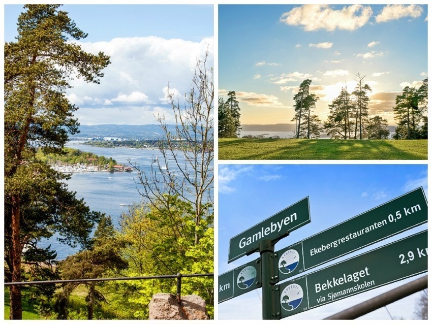 Kort vei til Ekebergsletta, Ekebergrestauranten og Ekebergskogen med skulpturparken. Galleribilde