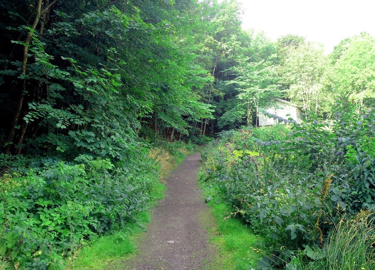 Nærmeste nabo er skogen, og bak blokken leder skogstien deg til Ekebergrestauranten og skulpturparken. Galleribilde