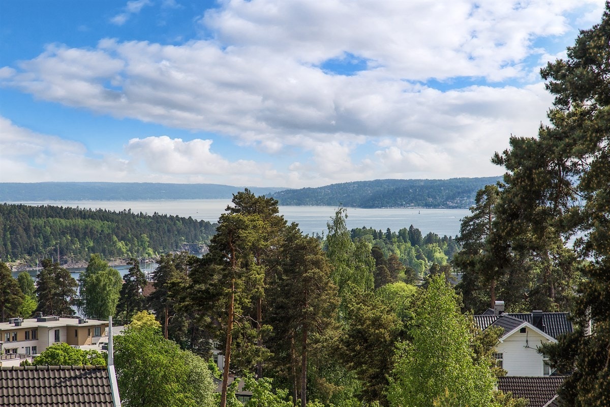 Oslofjorden sett fra takterrassen Galleribilde