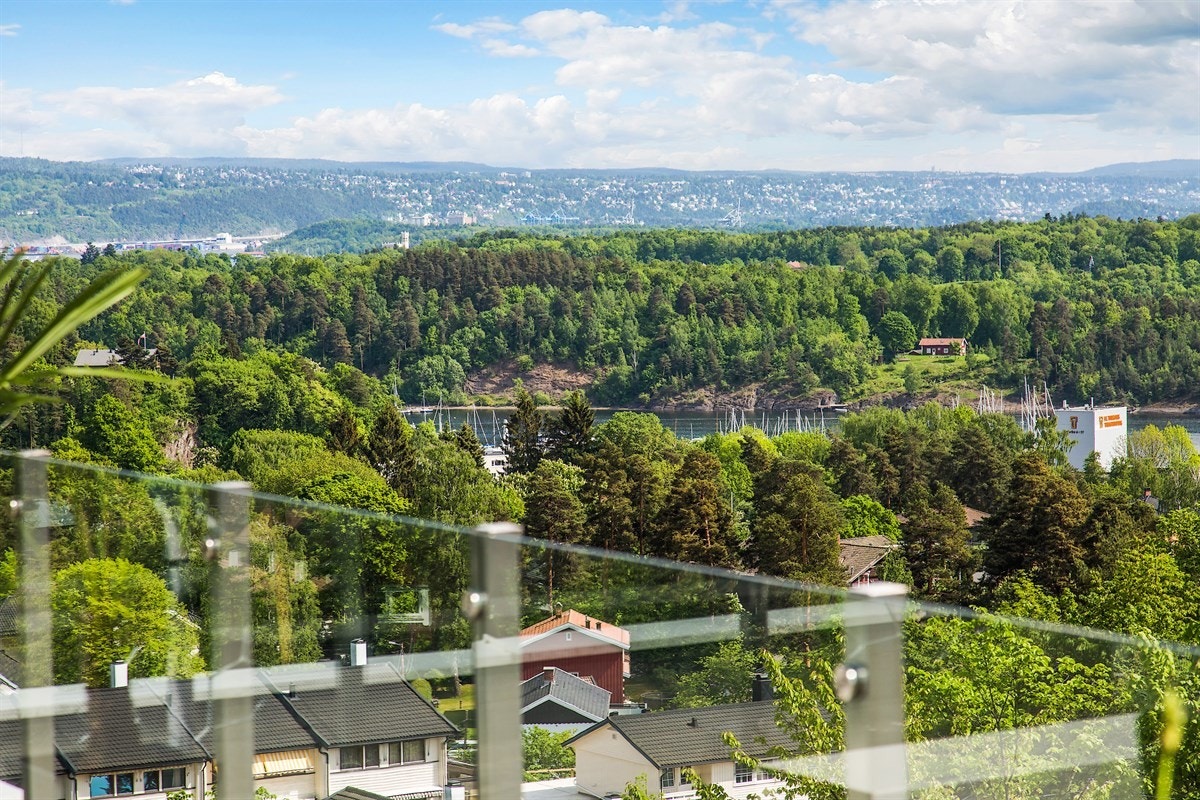 Bygdøy sett fra takterrassen Galleribilde