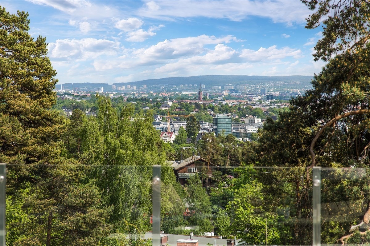 Utsikten fra takterrassen Galleribilde