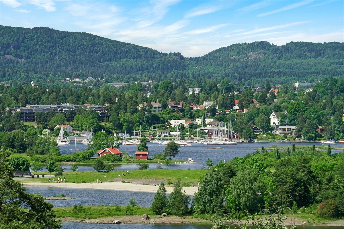 Utsnitt utsikt Galleribilde