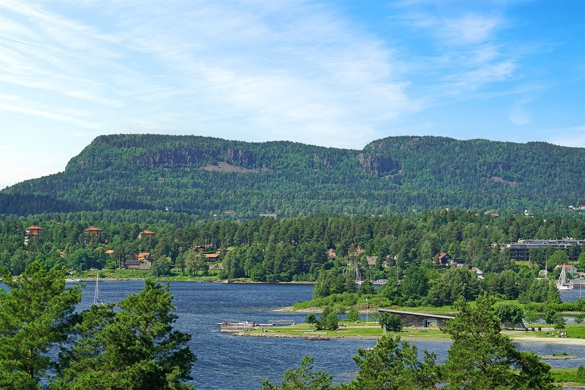 Utsnitt utsikt Galleribilde
