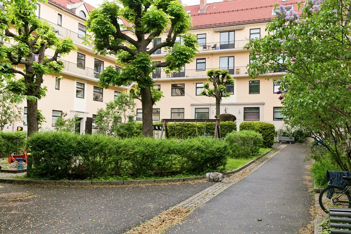 Torshov kvartal 6 er kjent for sin hyggelige og frodige bakgård Galleribilde