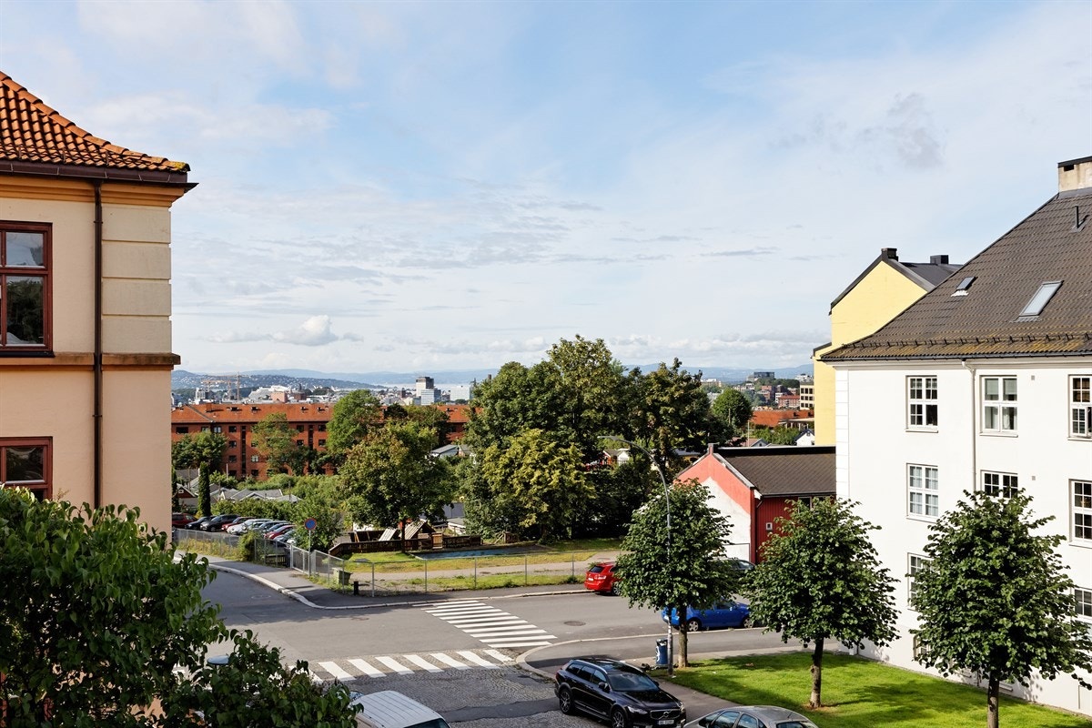 Utsikt. Galleribilde