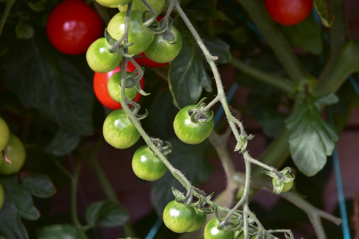 Stemningsbilde. Galleribilde