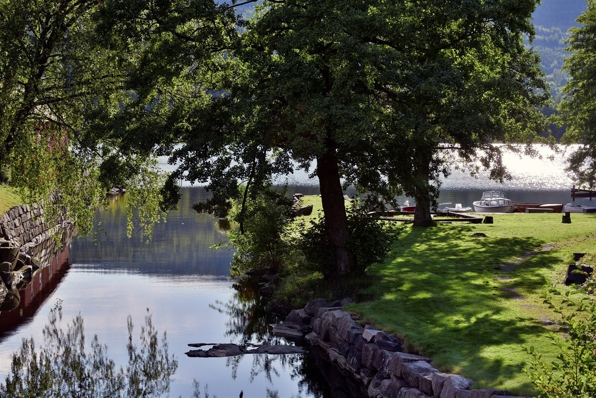 Badeplass. Galleribilde