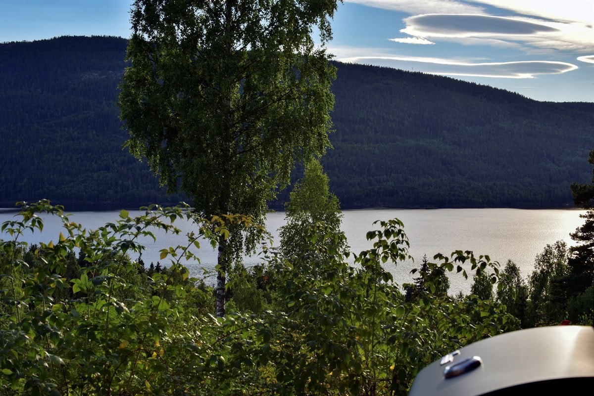 En herlig utsikt. Galleribilde