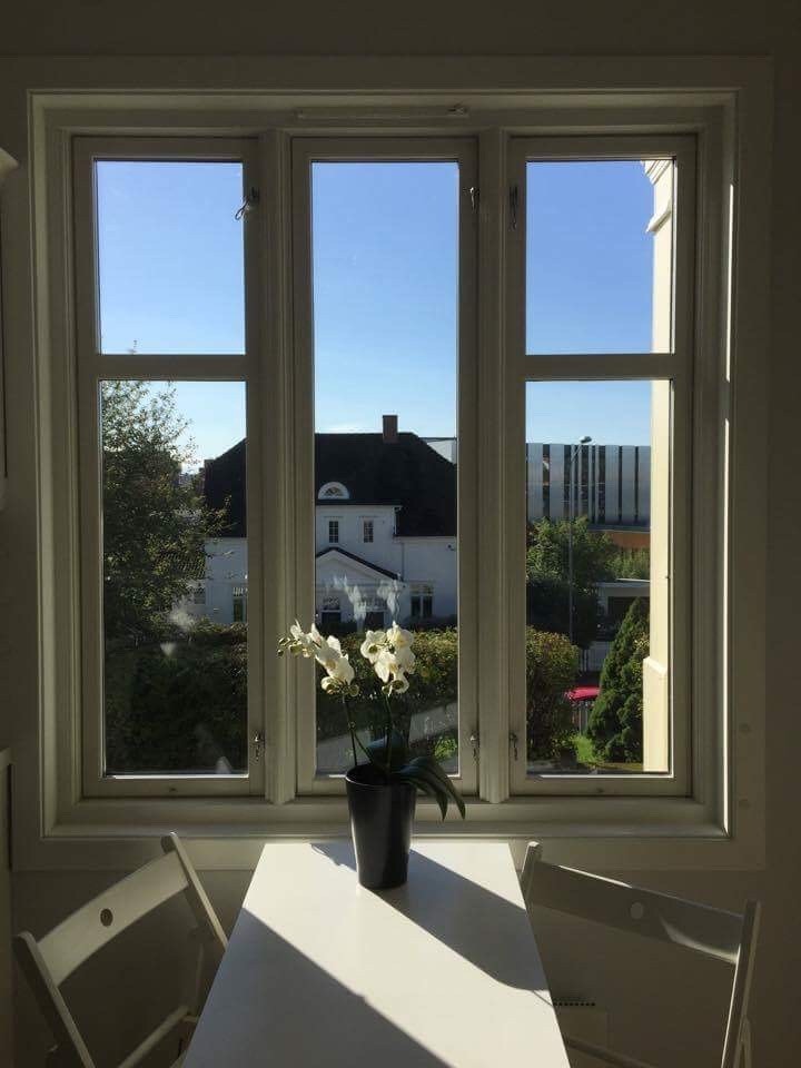 Utsikt mot sør Galleribilde