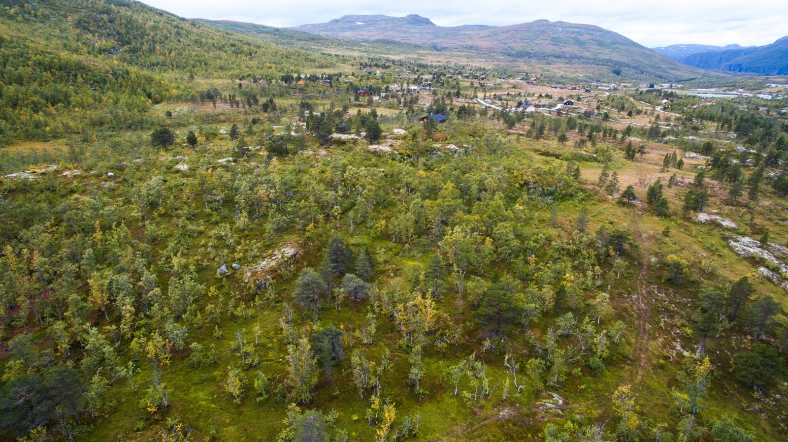 Dronebilde Galleribilde