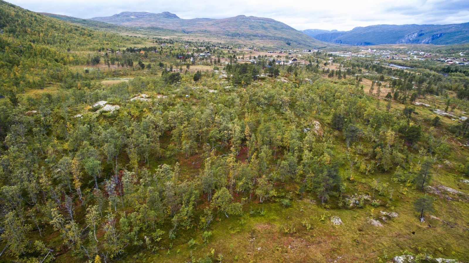 Dronebilde Galleribilde