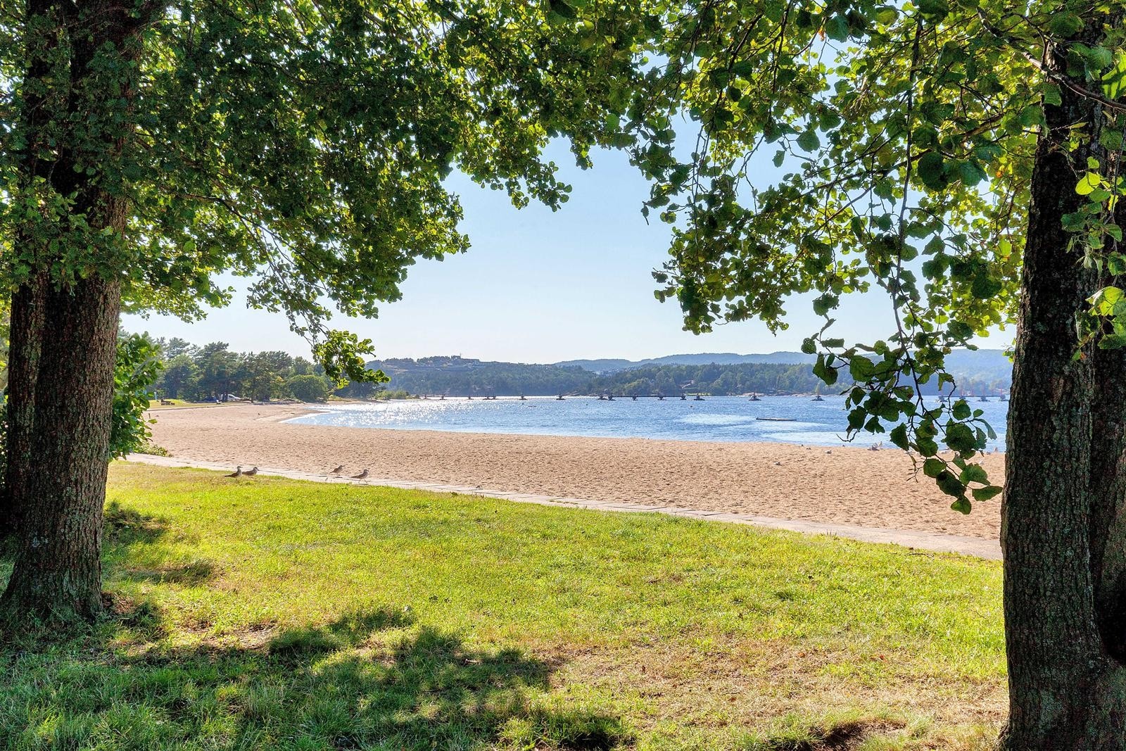 Hamresanden badestrand i gangavstand fra boligen Galleribilde