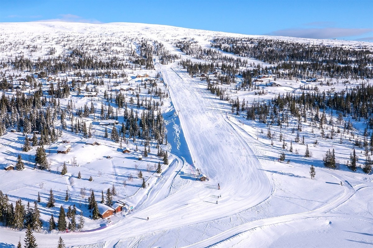 Alpinbakken Galleribilde