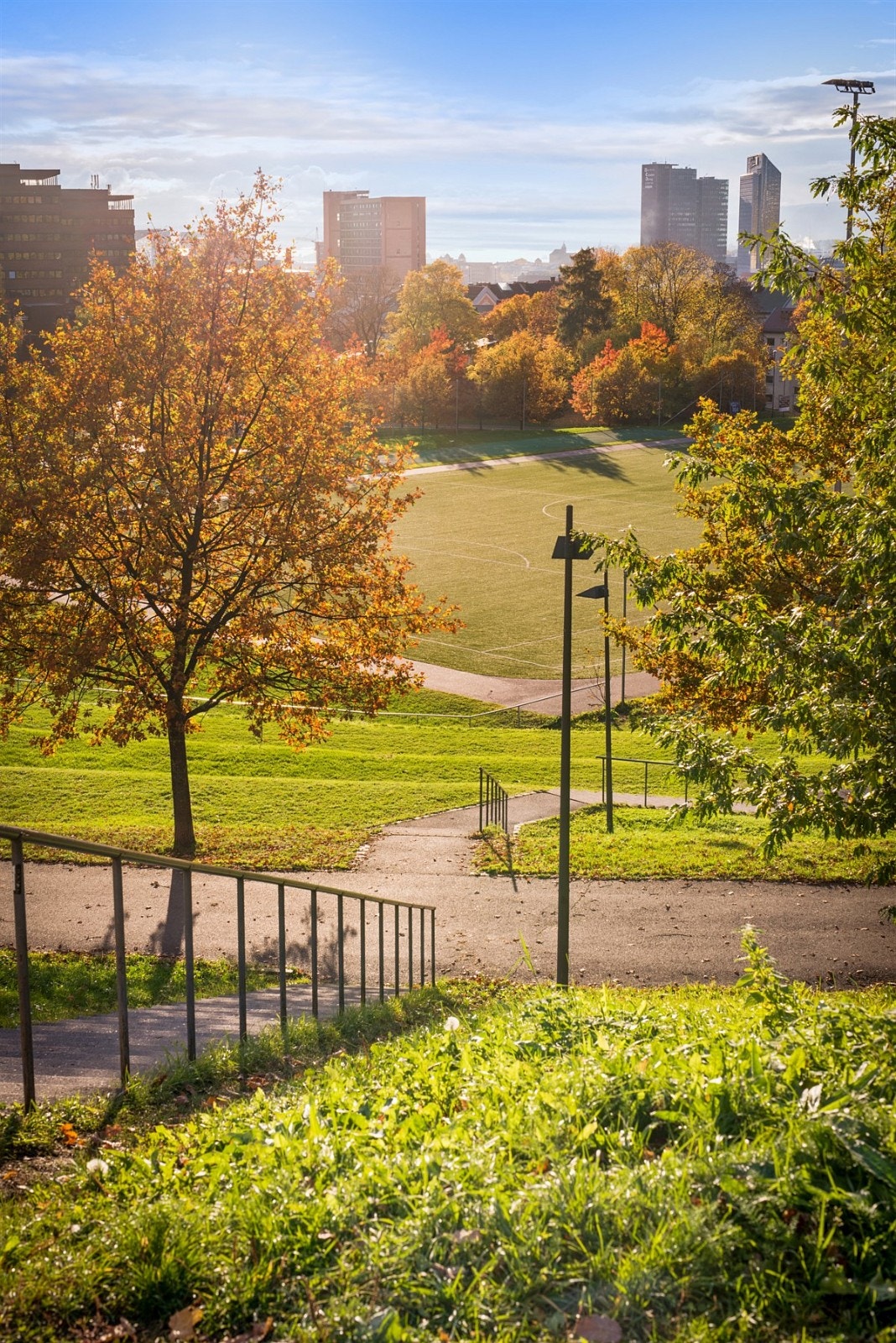 Tøyenparken Galleribilde