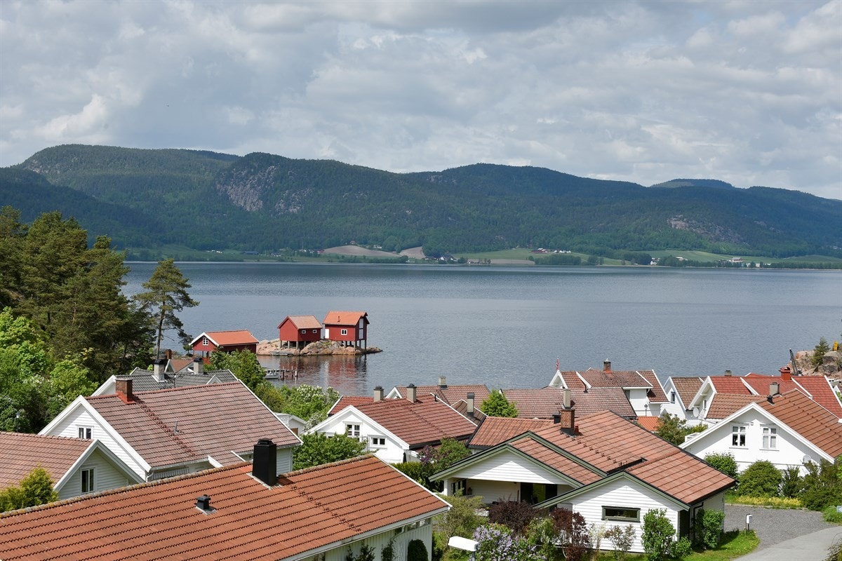 Fantastisk utsikt. Galleribilde