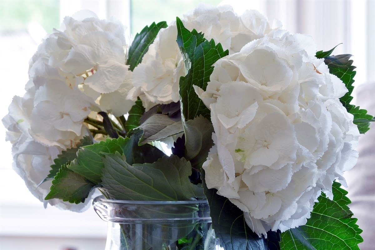 Detalj. Galleribilde