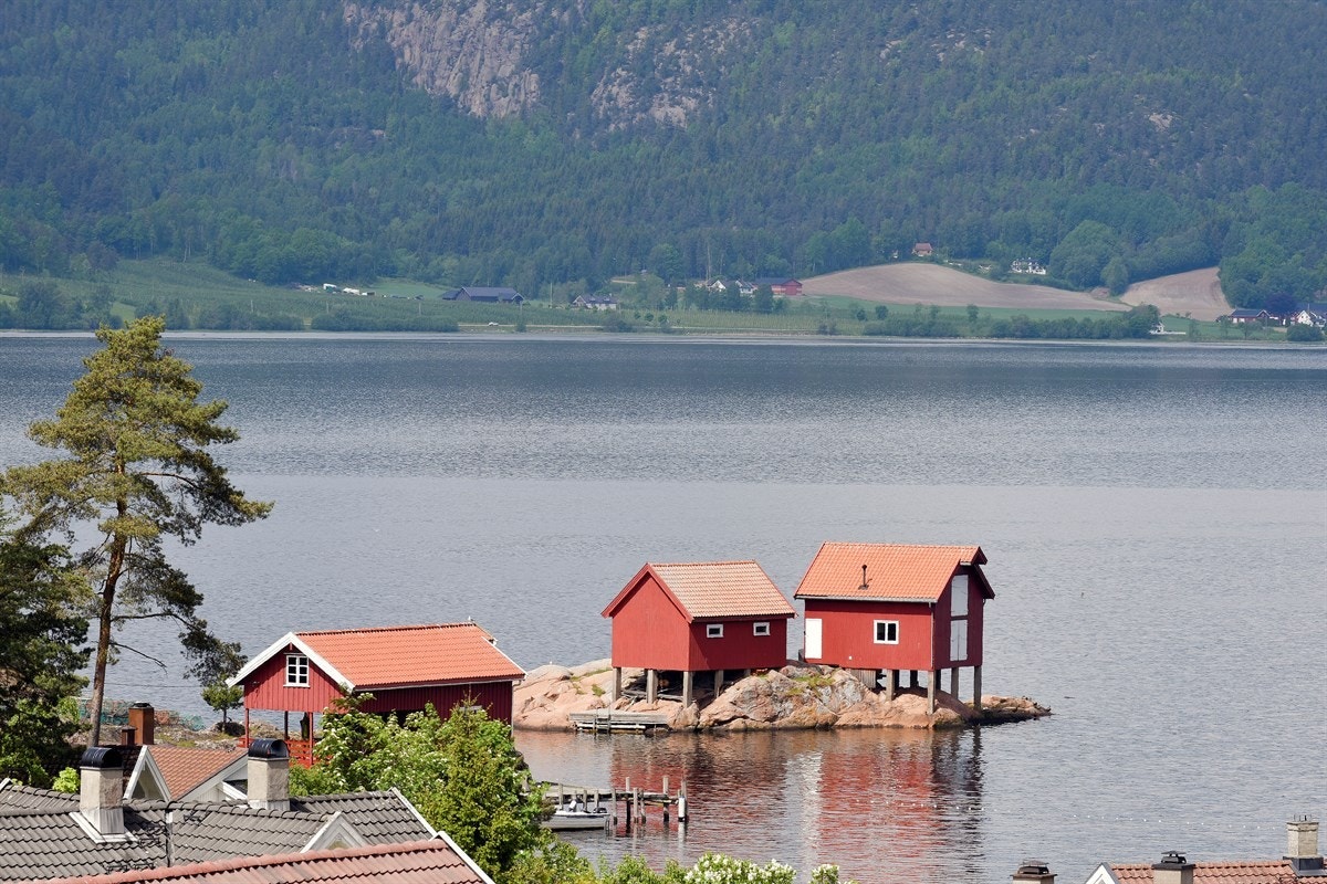 Fantastisk utsikt. Galleribilde