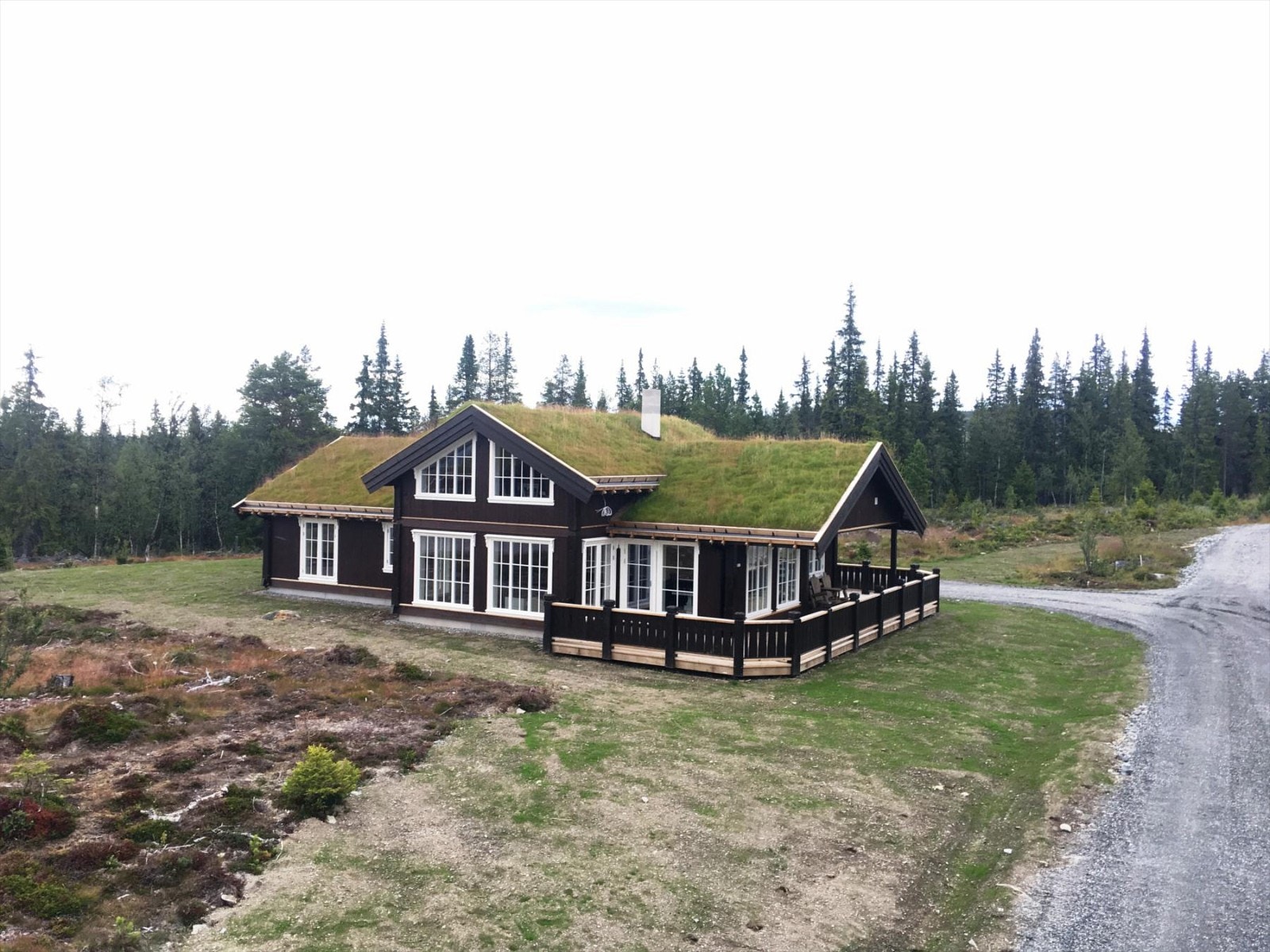 IMG_1383 Galleribilde