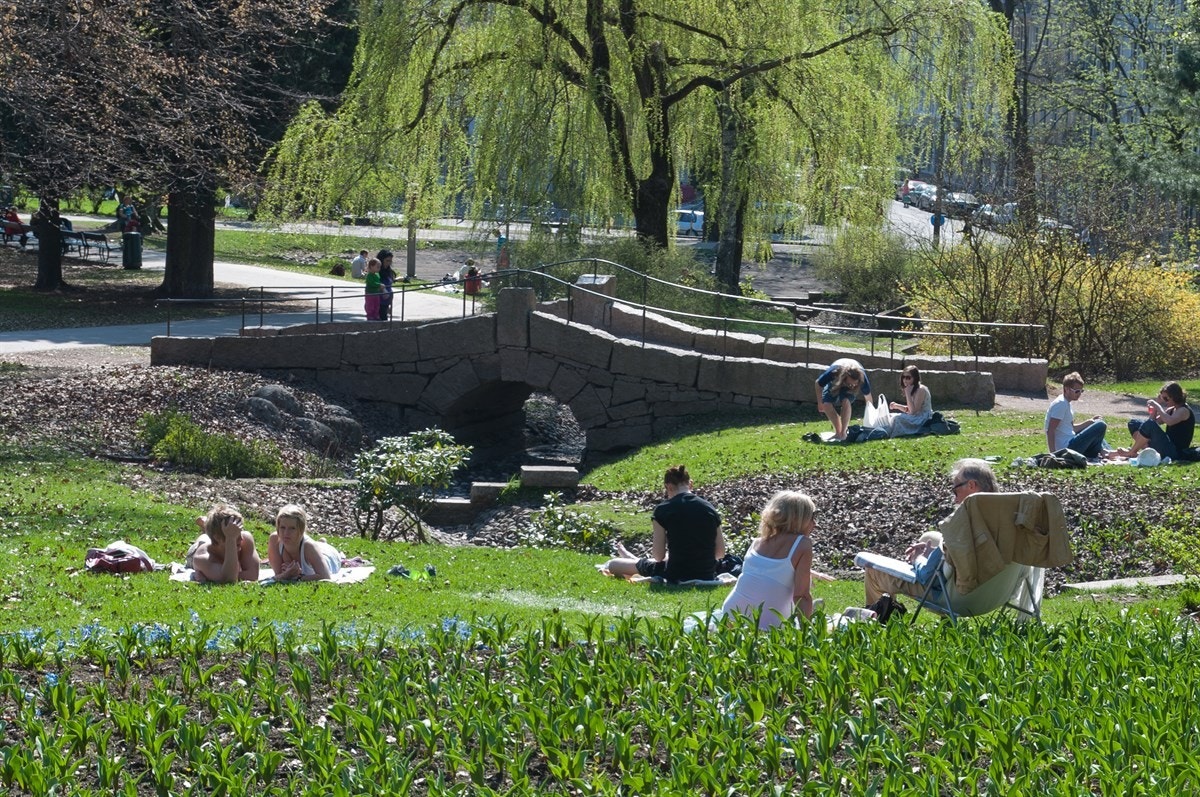 St. Hanshaugparken er perfekt for rolige dager samt løpeturer. Galleribilde