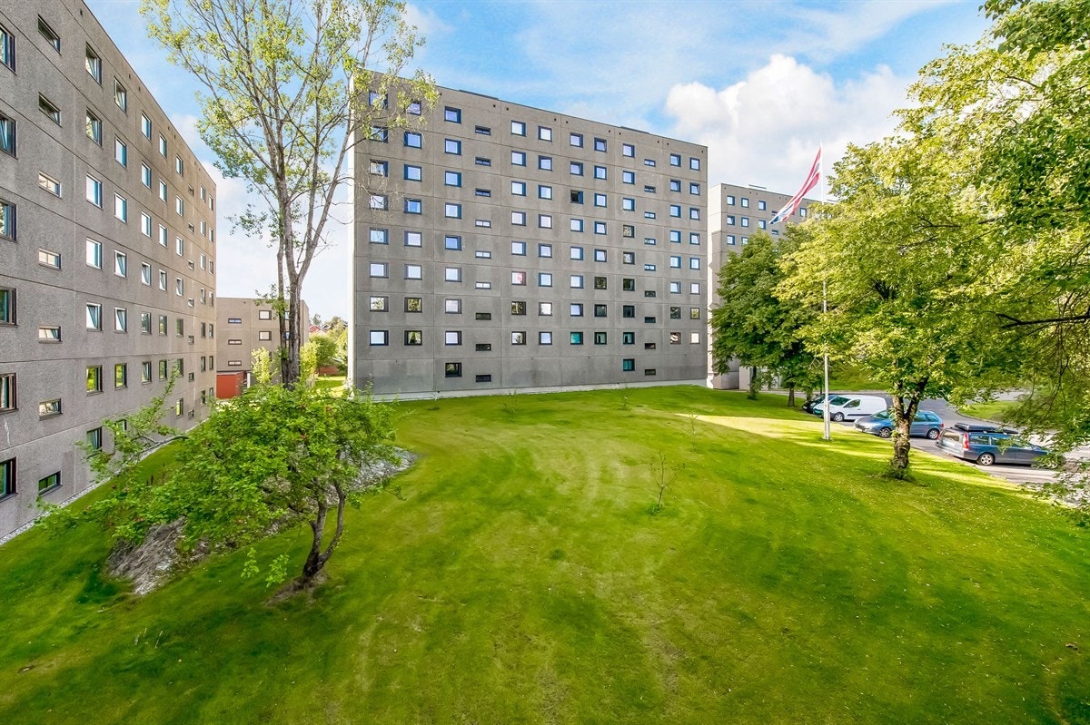 Nærområde - store grøntarealer med bruksplen, trær og diverse beplantning. Galleribilde