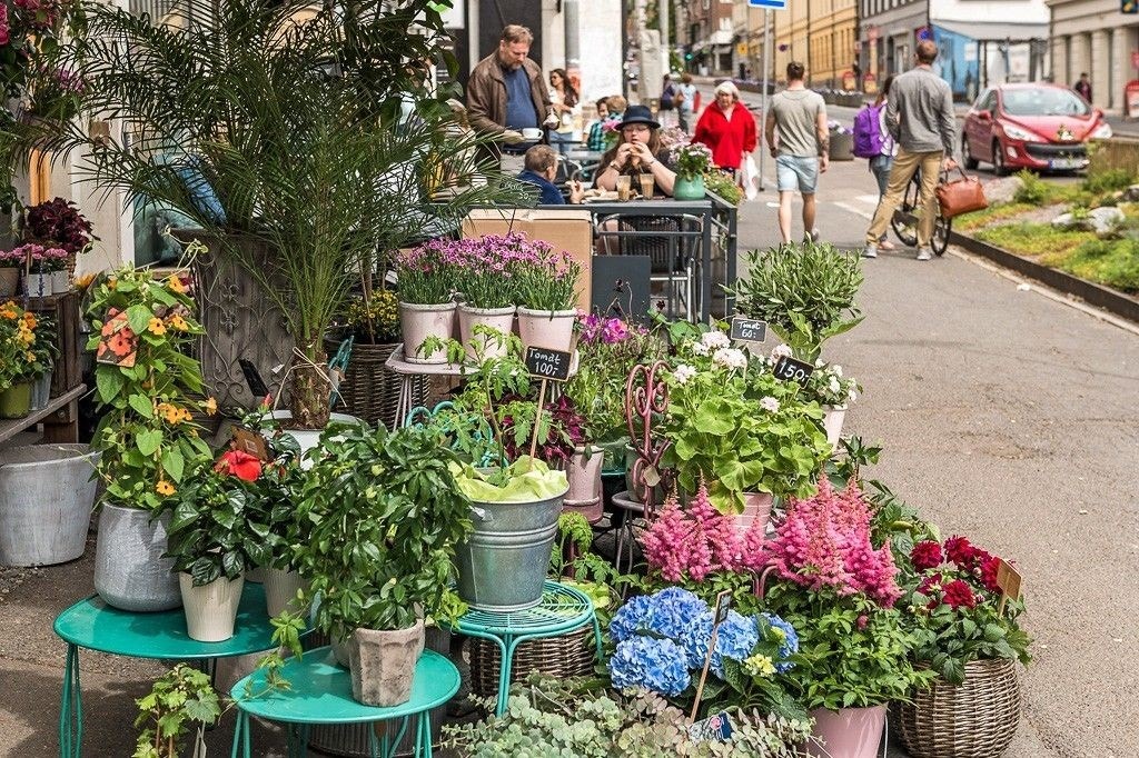 Bislett blomster Galleribilde