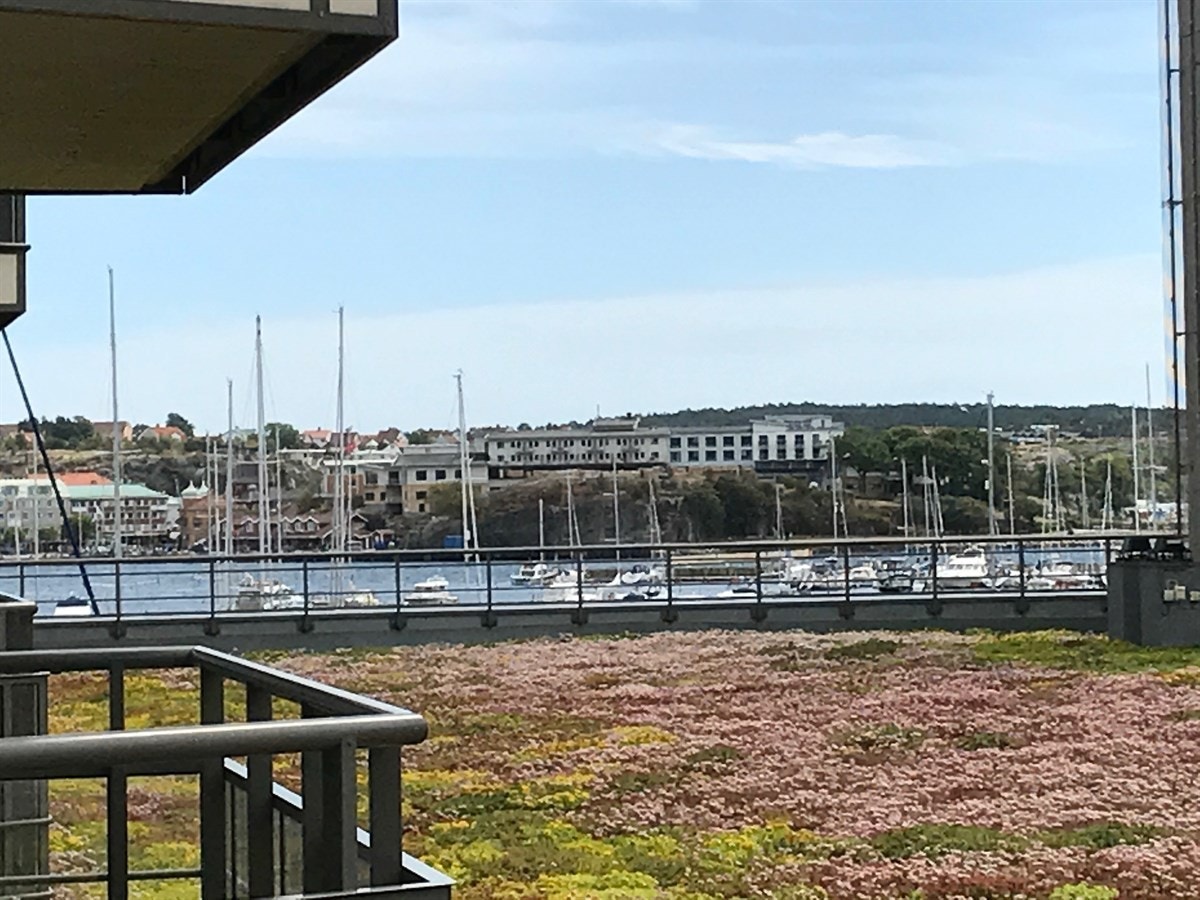 Utsikt fra gressplenen mellom bygningene i 3 etg. Galleribilde