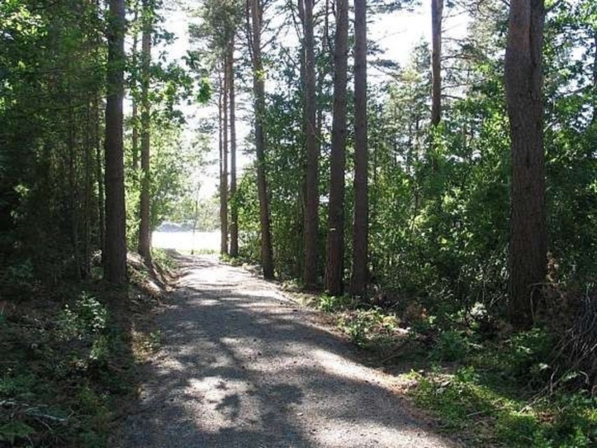 Mange fine turstier i skog og langs sjøen. Galleribilde