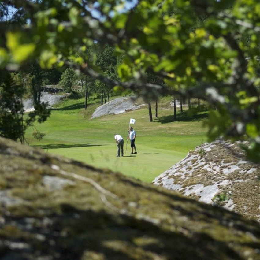 golf Galleribilde