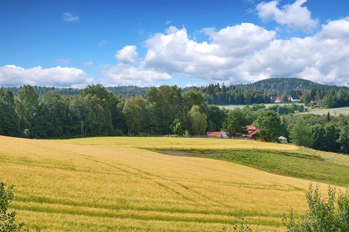 Det er kort vei til Hyggenstranda, en av Drammensfjordens fineste badeplasser. Her finner du stor, flott sandstrand, deilig gresslette og fine toalettanlegg. Galleribilde