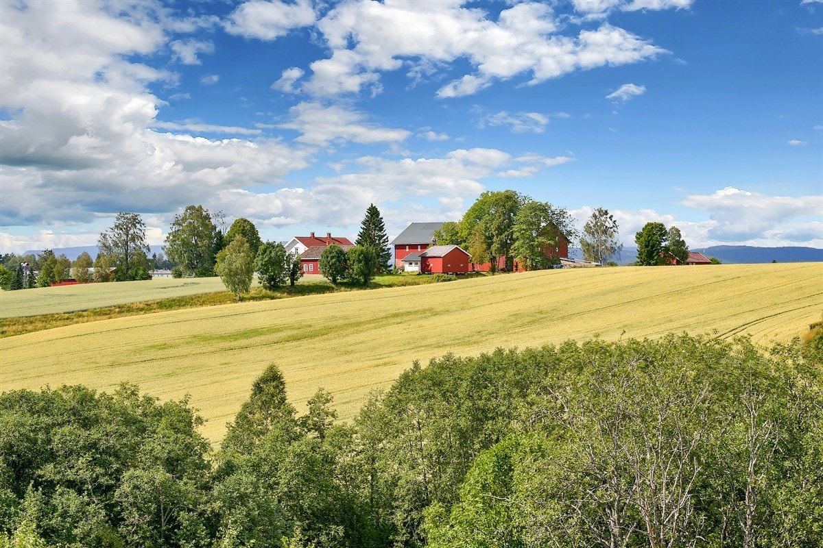 Stordammen badeplass ligger ca. 2 km innover i marka og byr på sommerlykke for store og små. Galleribilde