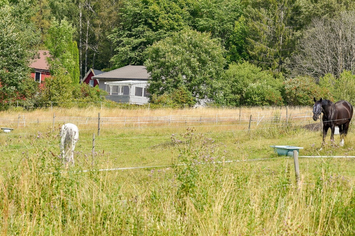 Eiendommen har kort vei til Spikkestad barneskole (ca. 3,4 km) og Spikkestad ungdomsskole (ca. 1,8 km). Galleribilde