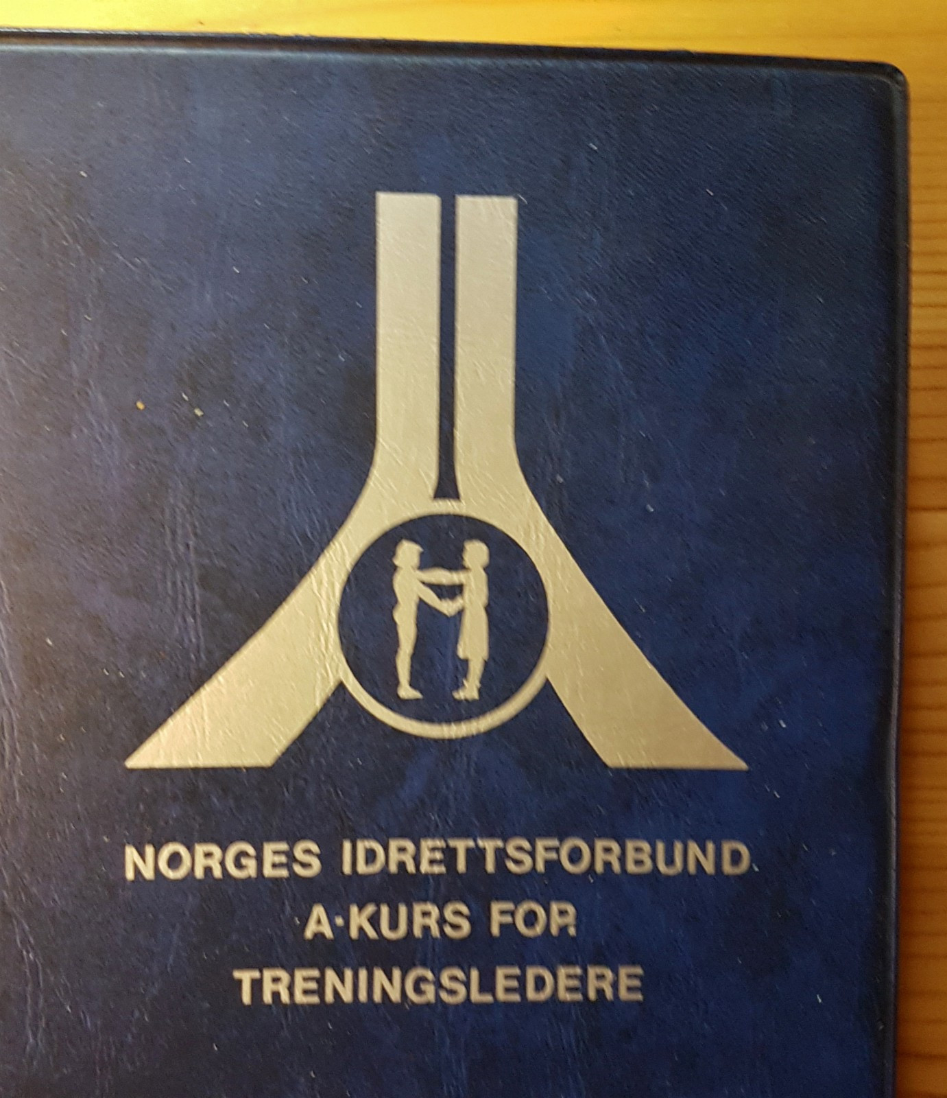 Kurs For Treningsledere A Kurs Fra Norges Idrettsforbund Finn No