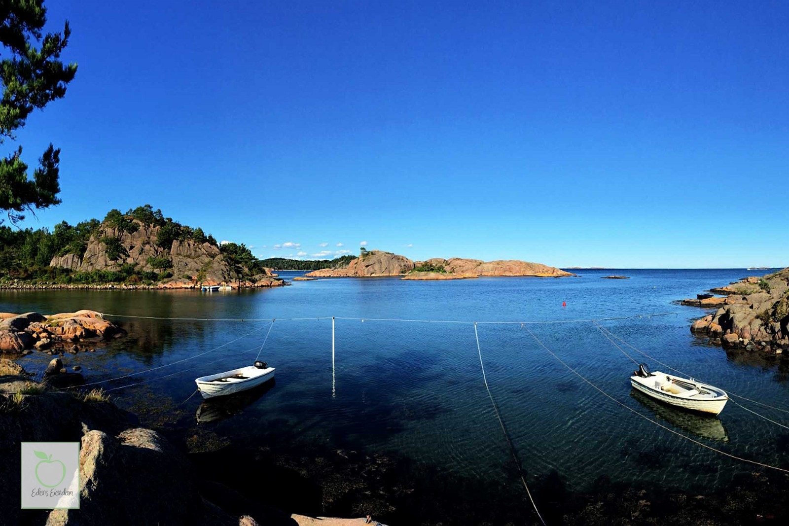 Nærområde Galleribilde