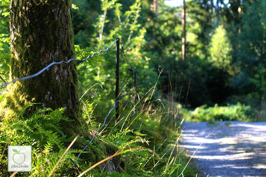 Nærområde Galleribilde