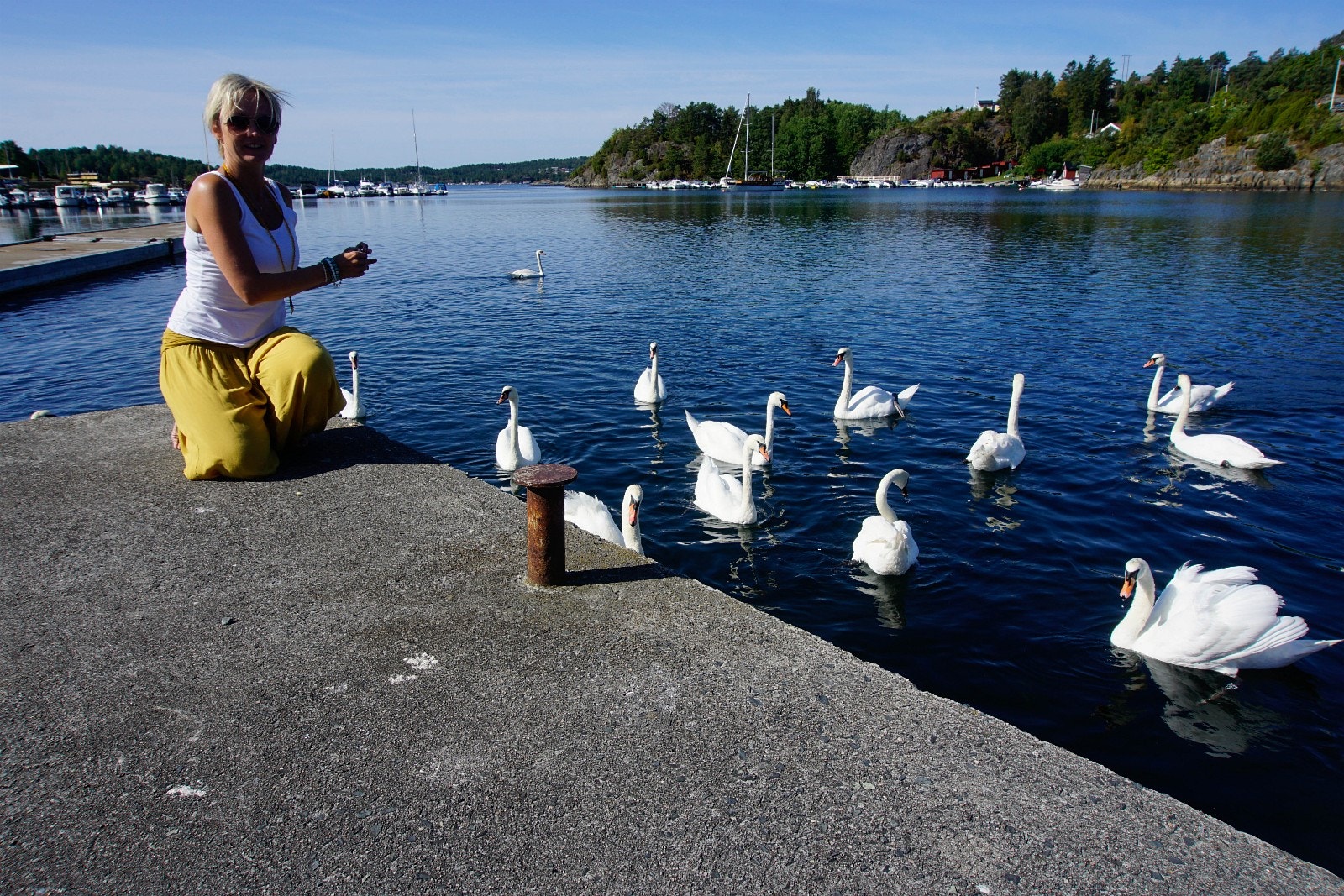 Dyreliv Galleribilde