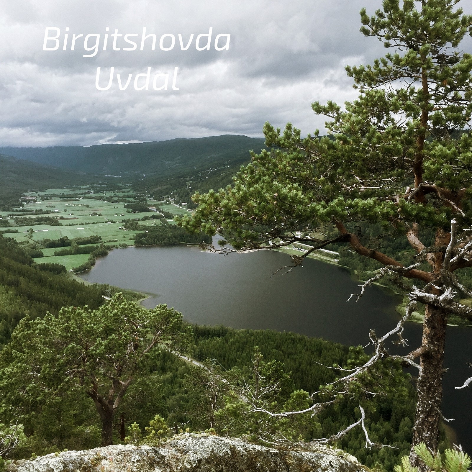 Ut på tur? Prøv en vandring til Birgitshovda med nydelig utsikt over Fønnebøfjorden og Uvdal. Galleribilde