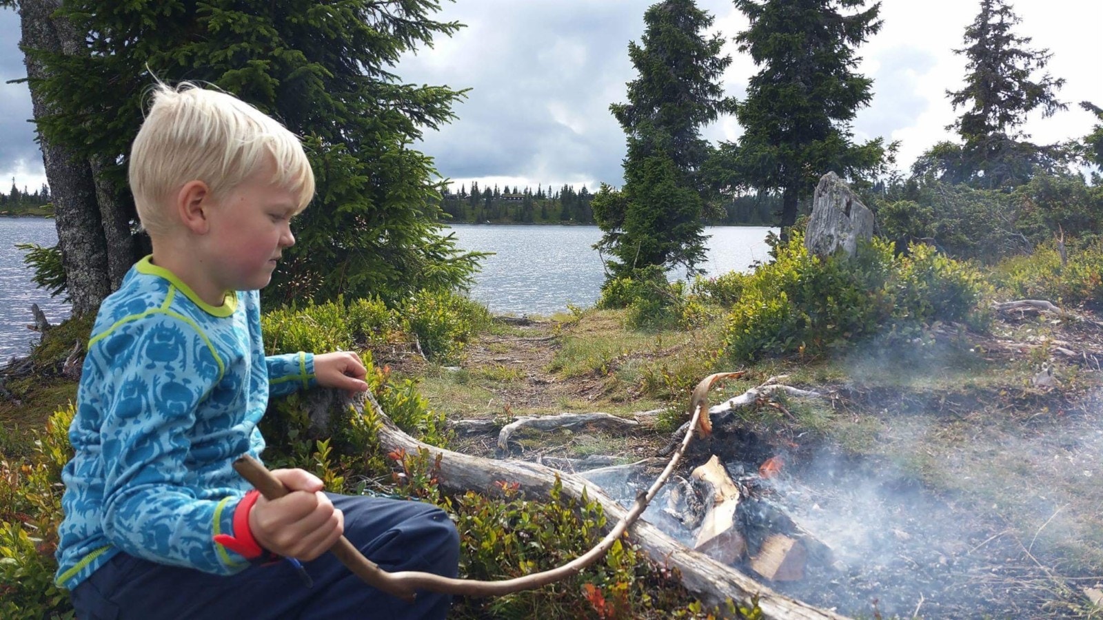 Grilling av selvfisket abbor ved Sjusjøvannet er en fin sommeraktivitet Galleribilde