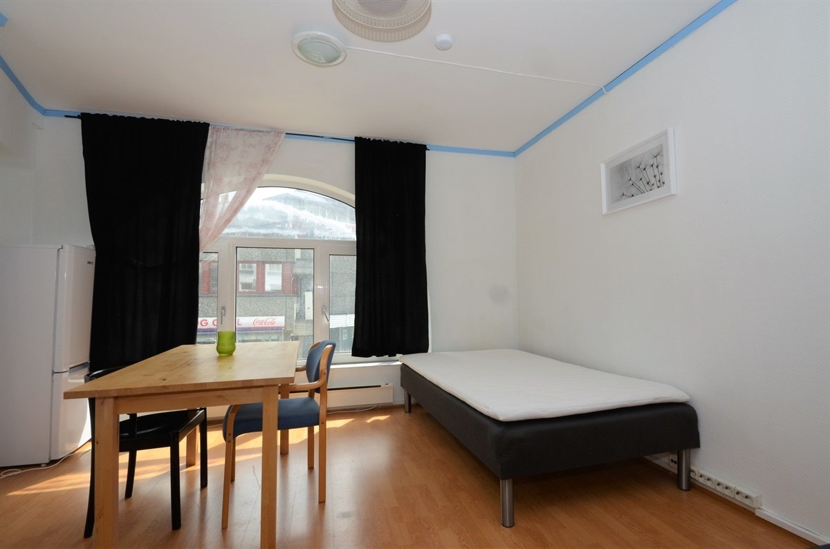 Store, lyse og nylig malte hybelrom. Galleribilde