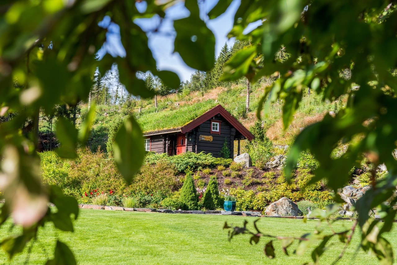 Øverst på tomta finner du Trollstua, den ligger på et litt høyere punkt på tomta og her kan du trekke deg litt bort og nyte roen alene Galleribilde