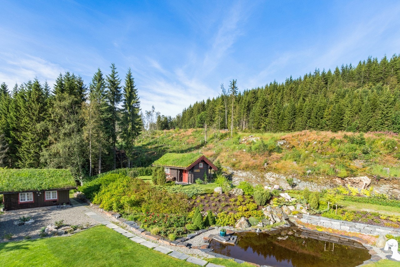 Oversiktsbilde av hønsehuset, Trollstua og vannspeilet. Tomta strekker seg enda litt oppover bak Trollstua Galleribilde