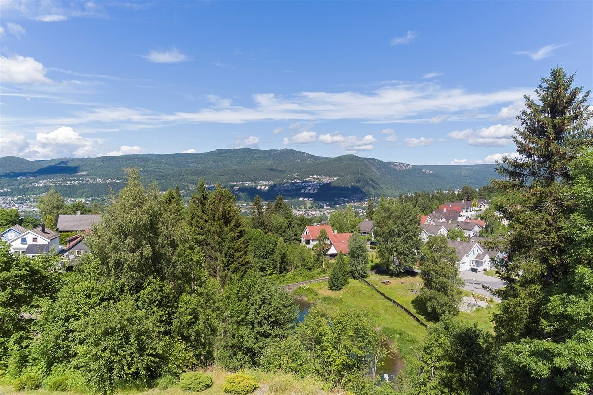 Eiendommen har gangavstand til Åsen barneskole og Veiavangen ungdomsskole. Det finnes flere videregående skoler i nærliggende områder, samt et godt utvalg av både private og kommunale barnehager. Galleribilde