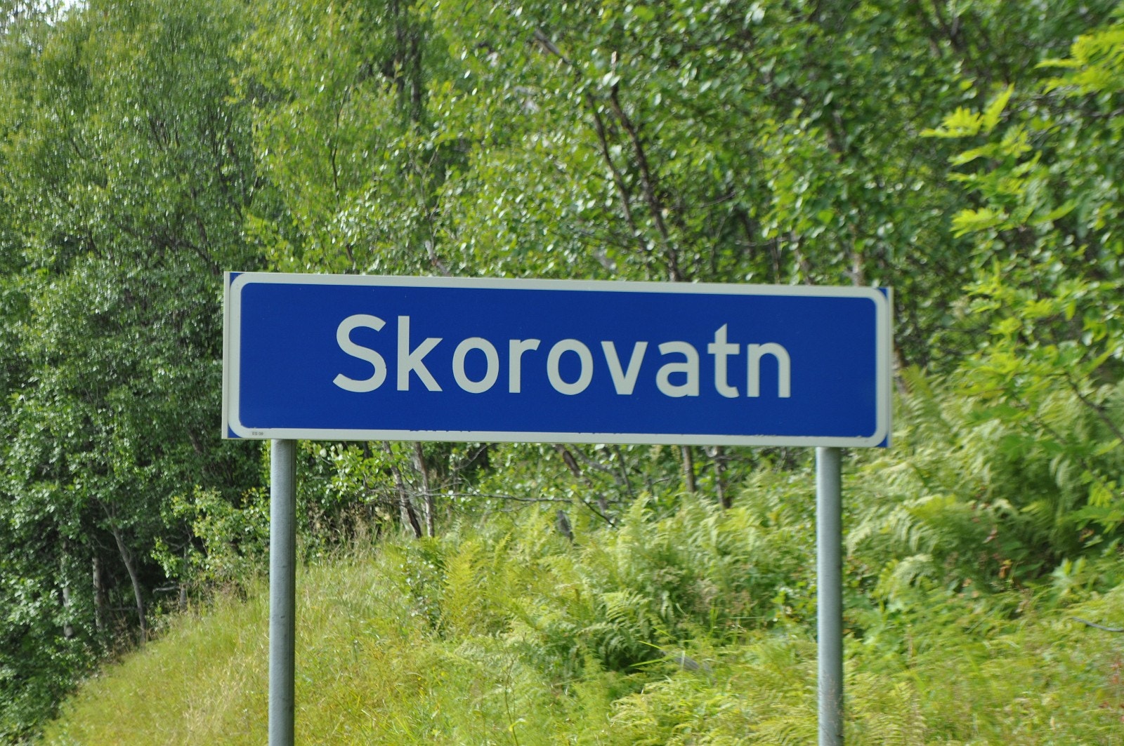 Skorovas er geografisk plassert sør-øst i Namsskogan kommune Galleribilde