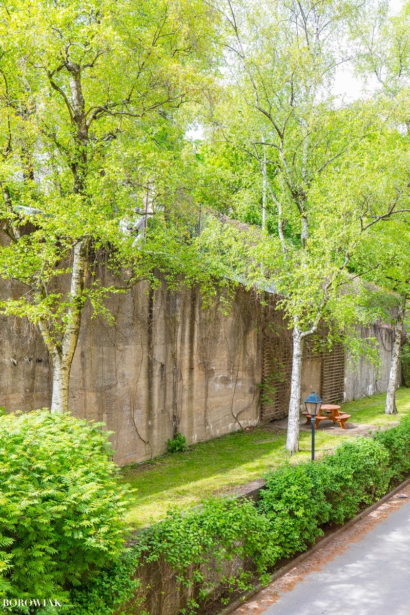 Pent opparbeidet fellesareal med plen og beplantning med bl.a. asfaltert internvei med lampebelysning, plen og trær. Galleribilde
