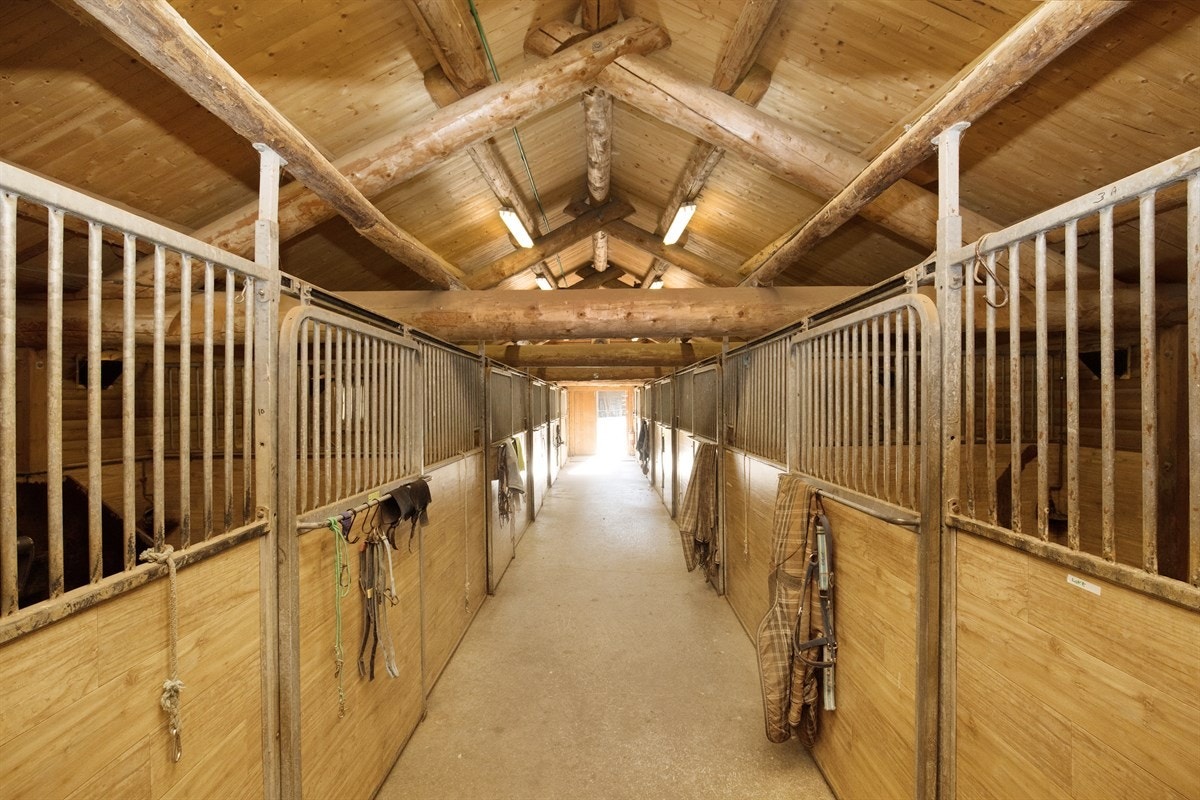 Stallbygning Galleribilde