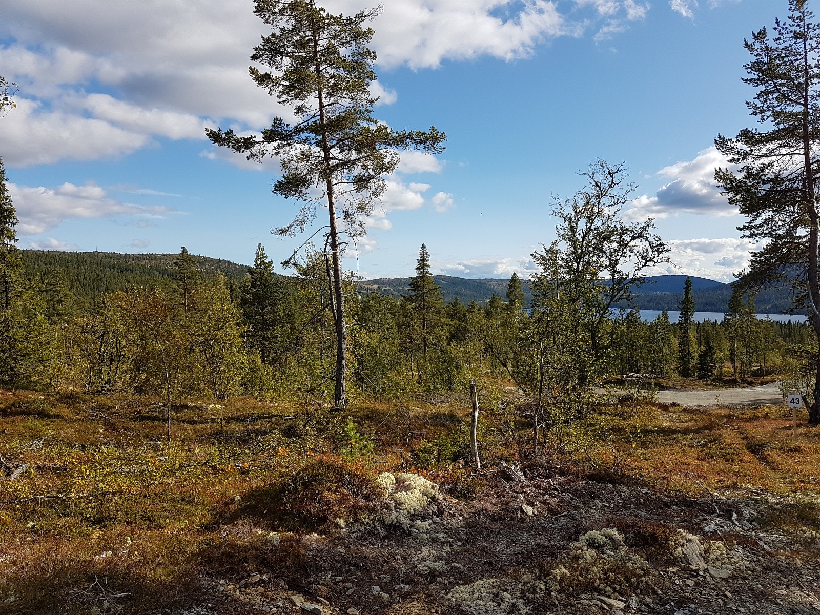 Tomteforhold Galleribilde